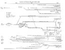 American-Presbyterian-and-Reformed-Churches-Family-Tree-scaled.jpg